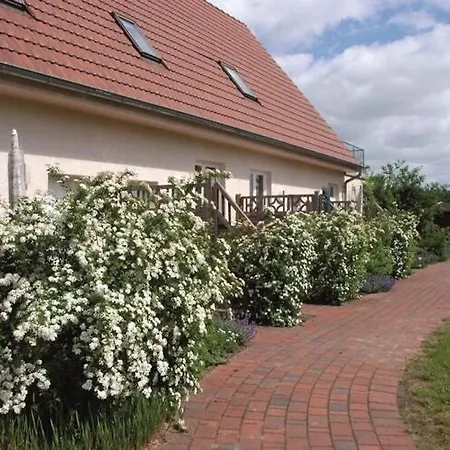Daire In Der Mecklenburger Seenplatte, Cleaning Included Buchholz (Mecklenburg-Vorpommern)