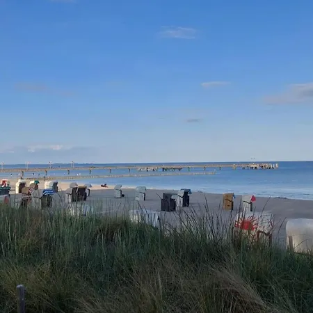 In Der Mecklenburger Seenplatte, Cleaning Included